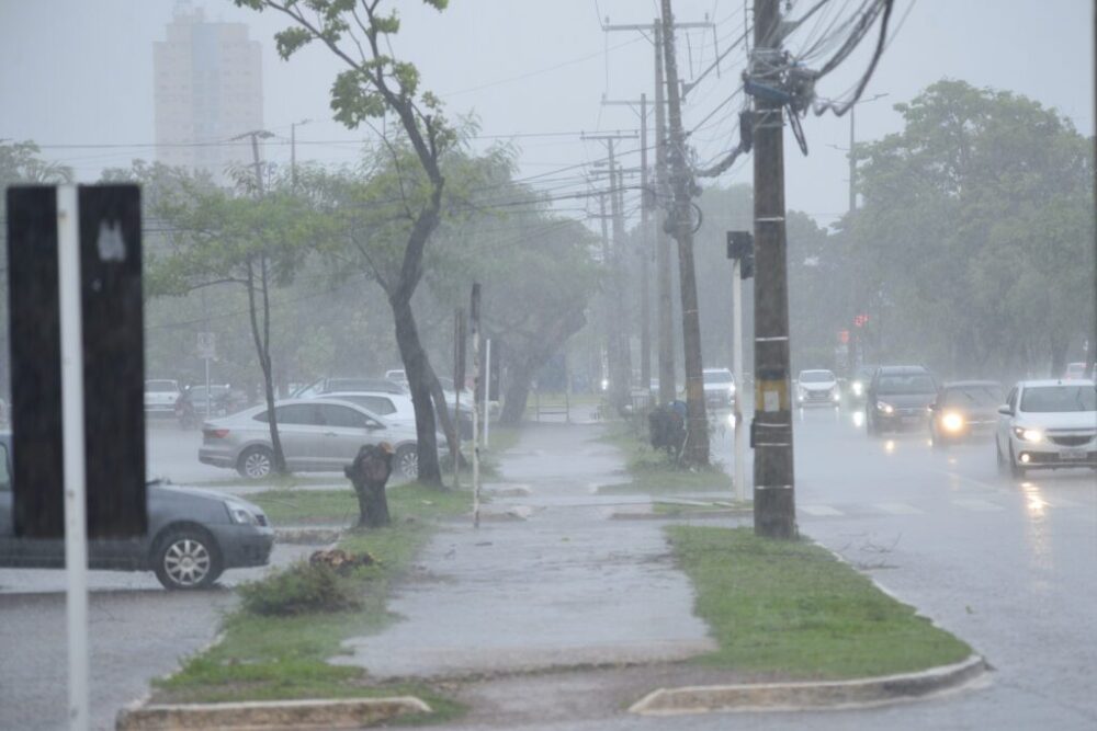 Prepare o guarda-chuva; chuva deve marcar todos os dias do fim de semana em Palmas