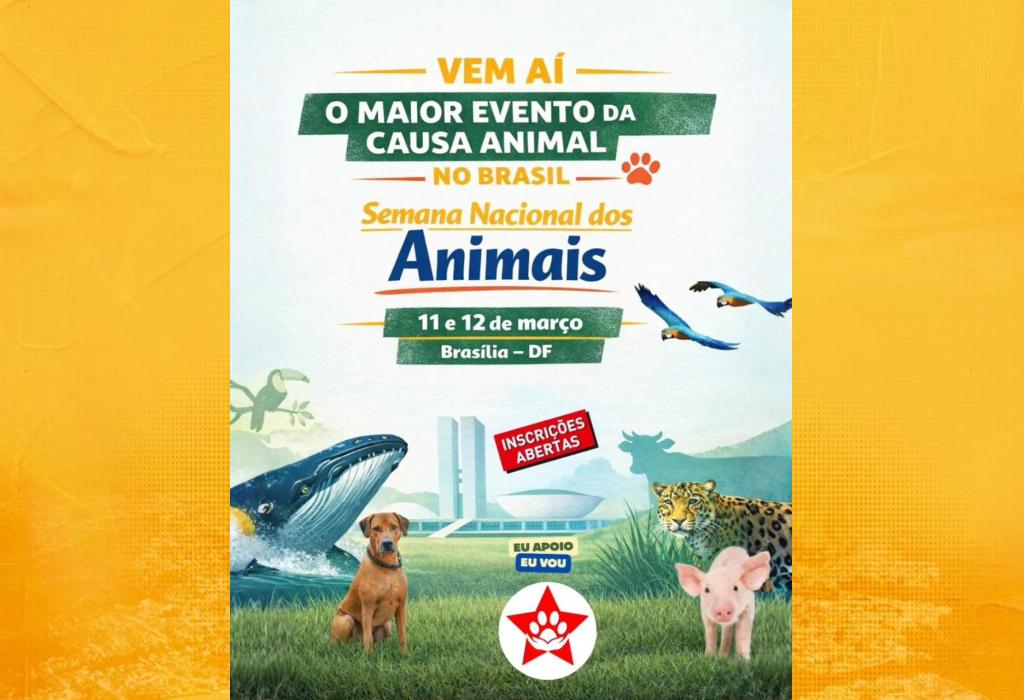 Semana Nacional dos Animais: Coletivo SOMOS participa de reunião virtual de planejamento
