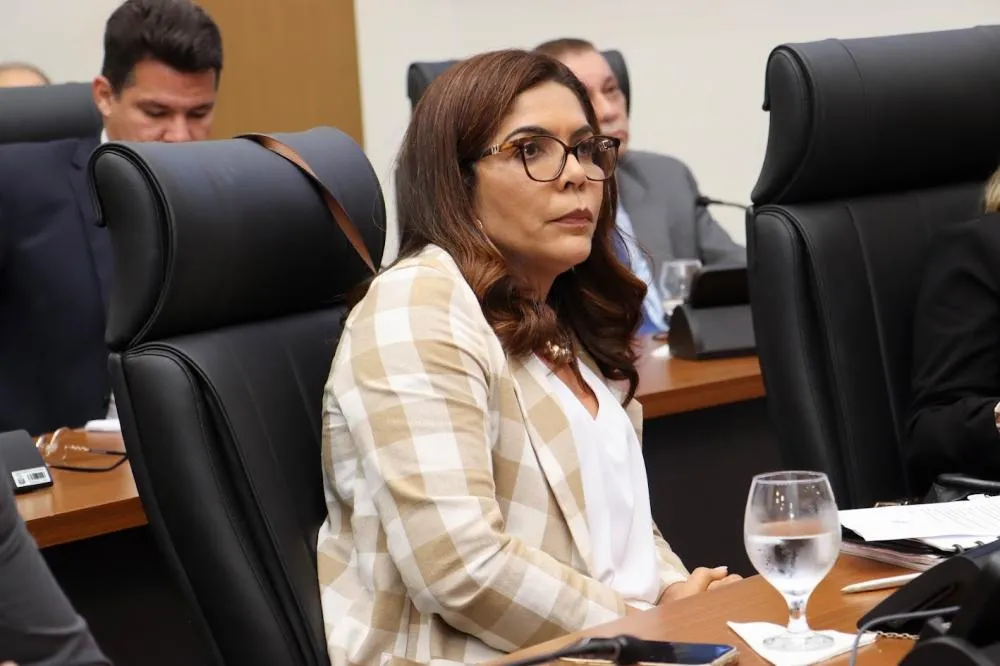 Vereadora Delma Freitas solicita reforço e manutenção da iluminação pública em Palmas