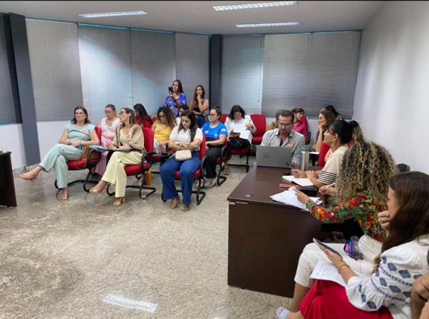 Coletivo SOMOS discute demandas por políticas públicas para animais com protetoras independentes e SEBEM