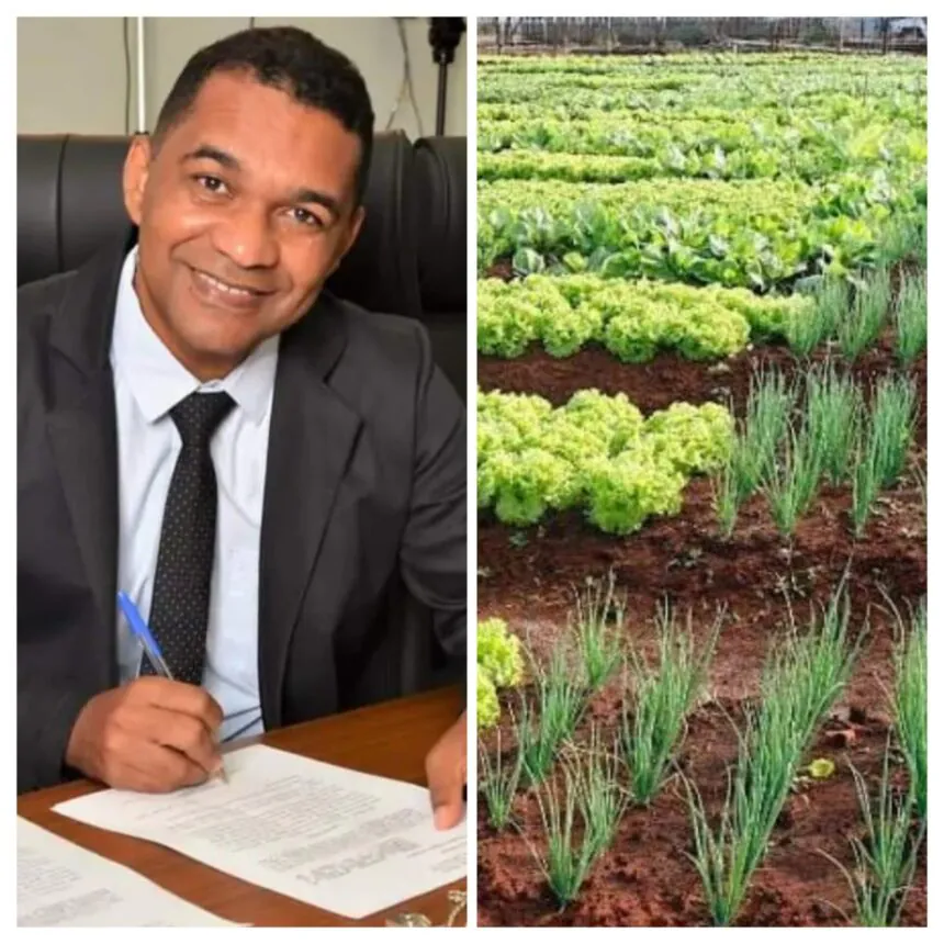 Vereador Waldson da Agesp pede implantação de horta comunitária no Jardim Aeroporto para incentivar produção de alimentos em Palmas